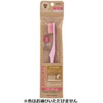 ラピス エコデント ラージ ふつう 1本