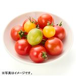 山梨県などの国内産 有機桜トマト 150g入 1パック