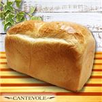 【店内焼きあげパン】 さくら餡の塩バターぱん【2235】 1個 ※【12時以降の配送限定】
