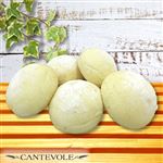 【店内焼きあげパン】 白いロールパン（5個入）【1016】 1袋 ※【12時以降の配送限定】