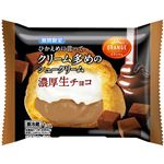 オランジェ ひかえめに言ってクリーム多めのシュークリーム・濃厚生チョコ 1個