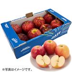 【予約】 ニュージーランド産 JAZZりんご BOX 【全国限定200箱】 1箱 【6月25日～6月29日のお受取り】