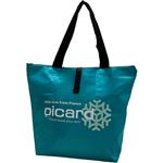 picard 折りたたみ保冷バッグ ターコイズブルー 1個