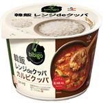 CJジャパン bibigo 韓飯 レンジdeクッパ カルビクッパ 171.4g