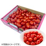 【予約】 熊本県などの国内産 ミニトマト（アンジェレ）1箱800g 【6月25日～6月29日のお受取り】