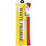 アルクスアンド ホワイトプロミス トラベルセット 02 ヨーグルトミント 1セット