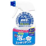 ライオンケミカル 泡のスッキリデント 本体 300ml