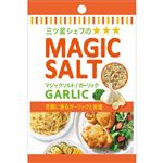 ヱスビー食品 袋入り マジックソルト ガーリック 20g