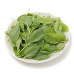 茨城県などの国内産 ベビーほうれん草 25g 1パック