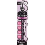 井田ラボラトリーズ キャンメイク ラスティングリキッドライナー 01 ブラック 0.6ml