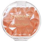 井田ラボラトリーズ キャンメイク クリームチーク 21 タンジェリンティー 2.2g
