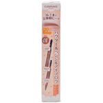 井田ラボラトリーズ キャンメイク 3in1アイブロウ 01 ナチュラルブラウン 0.57g