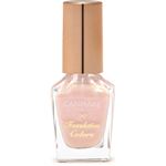 井田ラボラトリーズ キャンメイク ファンデーションカラーズ 10 シェルピンク 8ml