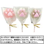 芥川製菓 肉球ゼリー 1本入