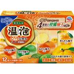 アース製薬 温泡 ONPO とろり炭酸湯 ぜいたく柚子柑橘 45g×12錠（4種類×3錠）
