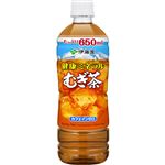 伊藤園 健康ミネラルむぎ茶 650ml 