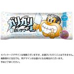 赤城乳業 ガリガリ君 白いサワー 105ml
