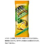 赤城乳業 大人なガリガリ君 ゴールデンパイン 100ml