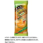 赤城乳業 大人なガリガリ君 完熟メロン 100ml