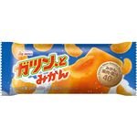 ★赤城乳業 ガツン、とみかん 95ml