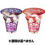 赤城乳業 フロリダサンデー 210ml