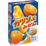 赤城乳業 ガツン、とみかん 58ml×5本【4／19～21配送】