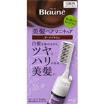 花王 ブローネ 美髪ヘアマニキュア ダークブラウン 本体 72g