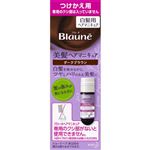 花王 ブローネ 美髪ヘアマニキュア ダークブラウン 付替用 72g