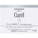 花王 キュレル 美白クリーム 40g