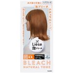 花王 リーゼ 泡ブリーチ ナチュラルトーン 108ml