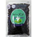 共立食品 レーズン 580g