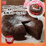 共立食品 本格ガトーショコラキット 170g