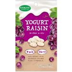 共立食品 APヨーグルトレーズン 40g