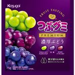 春日井製菓 つぶグミプレミアム 濃厚ぶどう 75g