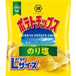 湖池屋 Largeサイズ ポテトチップス のり塩 112g