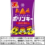 湖池屋 ポリンキー めんたいあじ 55g