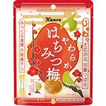 カンロ やわらかはちみつ梅 40g