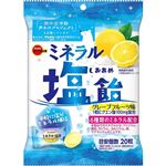 ブルボン ミネラル塩飴 94g