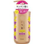 クラシエホームプロダクツ いち髪 ダメージリペア＆カラーケア シャンプー ポンプ 480ml