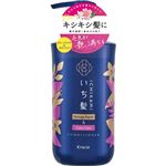 クラシエホームプロダクツ いち髪 ダメージリペア＆カラーケア コンディショナー ポンプ 480g