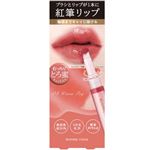 伊勢半 キスミー フェルム 紅筆リップグロウ 04 1本