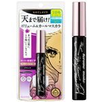 伊勢半 ヒロインメイク スーパーウォータープルーフ ボリューム＆カールマスカラ WP01 ブラック 6g