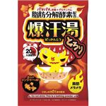 バイソン 爆汗湯 ホットジンジャーの香り 60g