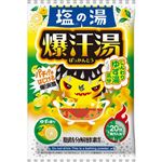 バイソン 爆汗湯 塩の湯 ゆずの香り 60g