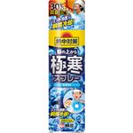 小林製薬 熱中対策 服の上から極寒スプレー 無香料 330ml