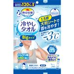 小林製薬 熱中対策 冷やしタオルBigタイプ 4本