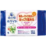 小林製薬 命の母ホワイト カイロ 貼るタイプ 8個