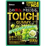 カバヤ食品 タフグミ バウンシーマスカット 100g