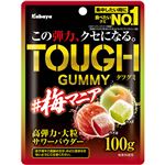 カバヤ食品 タフグミ 梅マニア 100g