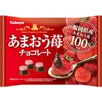 カバヤ食品 あまおう苺チョコレート 132g